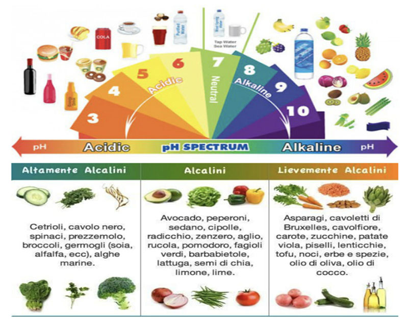 I principali alimenti alcalini prediletti nella dieta antiossidante 